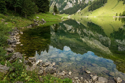 High angle view of lake amidst trees