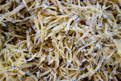 Full frame shot of dried fish