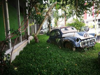 Close-up of car on grass
