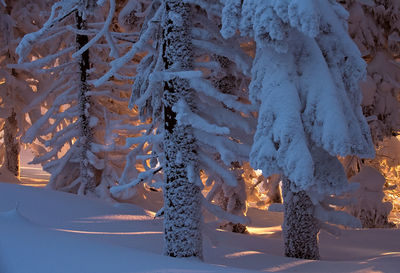 Scenic view of snow covered land