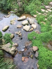 High angle view of stream flowing through rocks