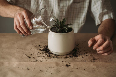 Male hands watering succulent plant in ceramic pot