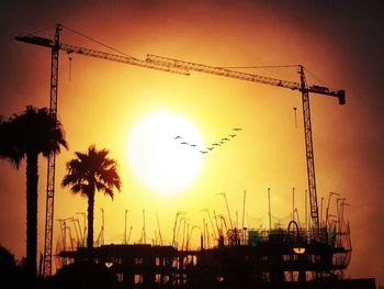 Silhouette of cranes at harbor during sunset