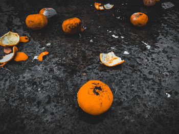 High angle view of orange pumpkins on rock