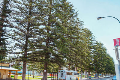 Low angle view of trees and buildings against sky