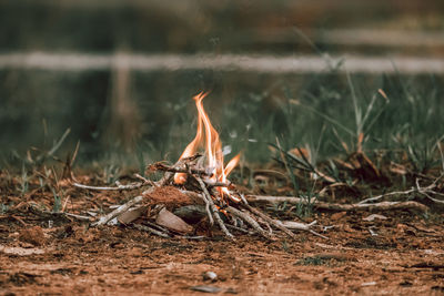 Close-up of bonfire on field