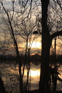 Silhouette bare tree by lake against sky during sunset