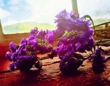 Close-up of purple flowers against sky