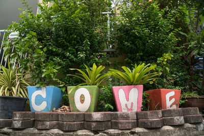 Potted plants against trees