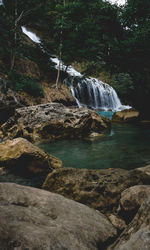 Scenic view of waterfall in forest