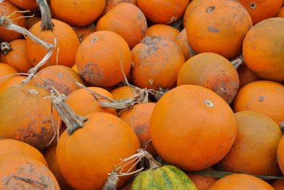 High angle view of oranges for sale at market stall