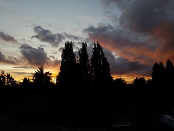 Silhouette trees against sky during sunset