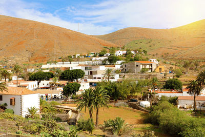 Cactus garden in the small town of betancuria, fuerteventura, canary islands