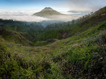 Scenic view of landscape against sky