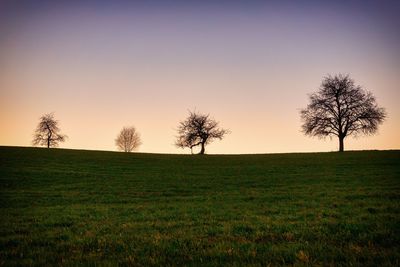 Trees on field against sky during sunset