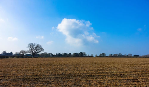 Scenic view of field against blue sky