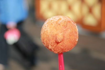 Close-up of plant against blurred background