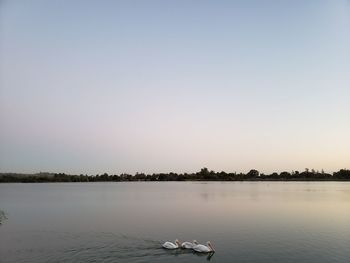 Scenic view of lake against clear sky