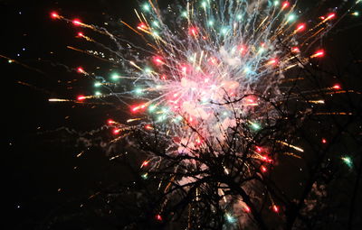 Low angle view of firework display at night