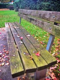 Wooden bench in park