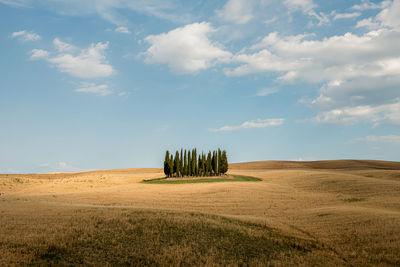 Hay bales on field against sky