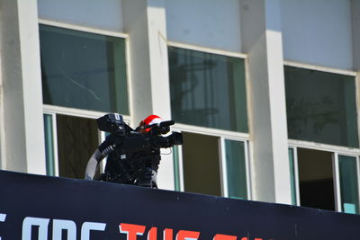 Black bird on glass window of building