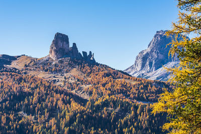 View of trees on mountain against sky