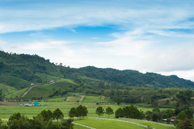 Scenic view of trees on field against sky