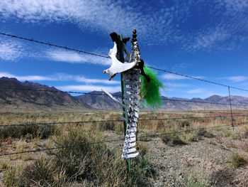 Low angle view of bones on fence