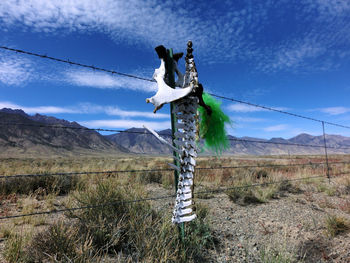 Low angle view of bones on fence