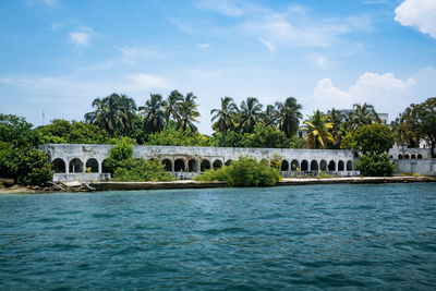 Scenic view of palm trees by sea against sky