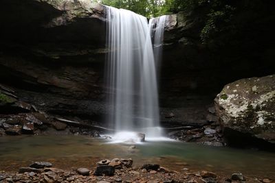 Scenic view of waterfall in forest