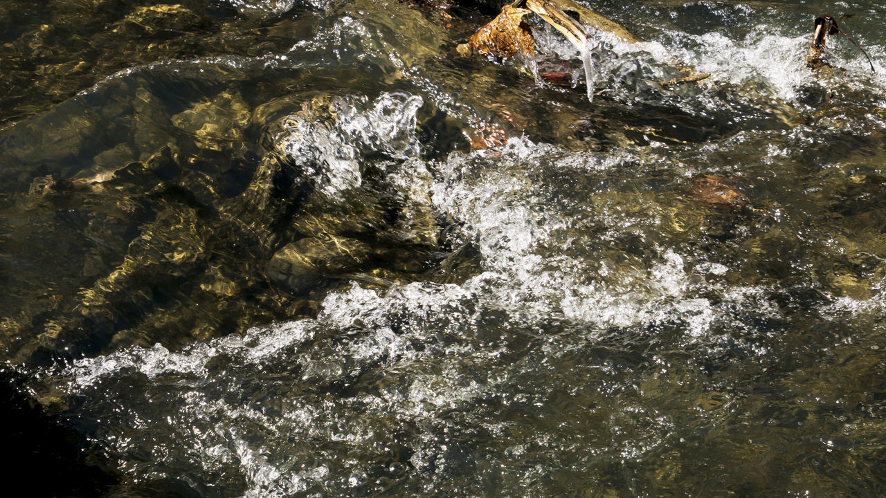 FULL FRAME SHOT OF WATERFALL