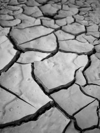 Full frame shot of dry leaf on water