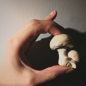 Close-up of hand holding mushroom