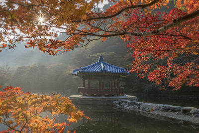 Scenic view of lake during autumn