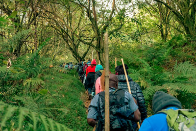 Rear view of woman walking on field