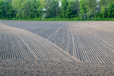 Tire tracks on field