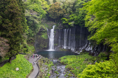 Scenic view of shiraito falls