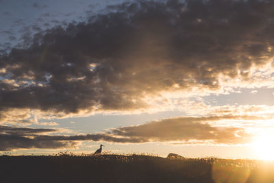 Scenic view of silhouette mountains against sky at sunset