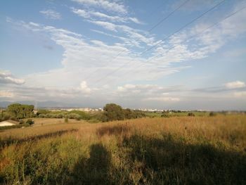 Scenic view of field against sky