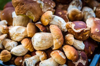 Full frame shot of food