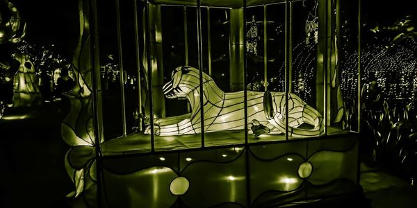 View of illuminated carousel in amusement park at night