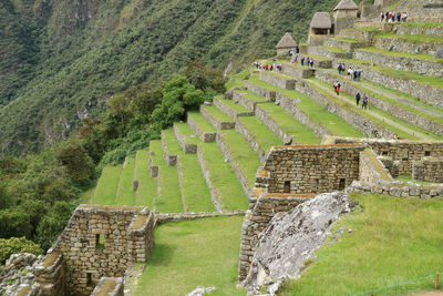 Green grass with morning dew at the archaeological site of machu picchu, cusco region, peru