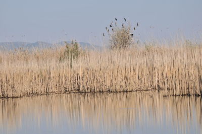 Scenic view of lake against sky