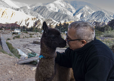 Man looking at llama against mountains