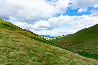 Landscape of green trees and hills in lake district national park area, united kingdom