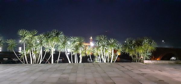 Illuminated street lights by trees against sky at night