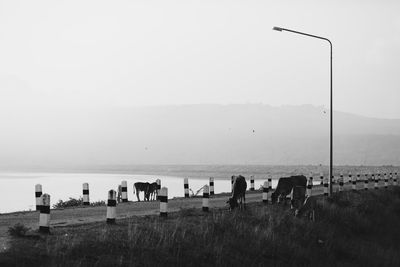 People on beach against clear sky