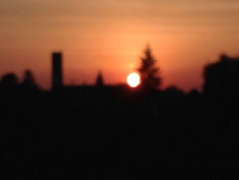 Silhouette of trees at sunset
